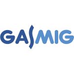 logo-gamig